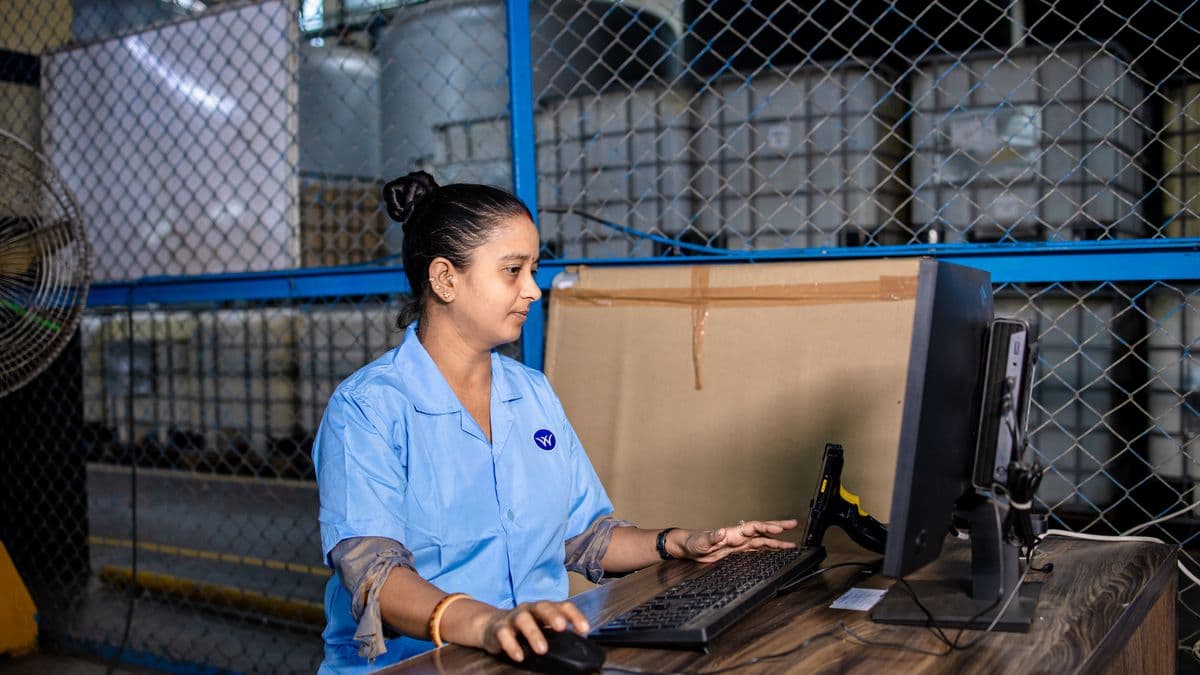 A search company operator reviewing a property order on screen before sending the council request