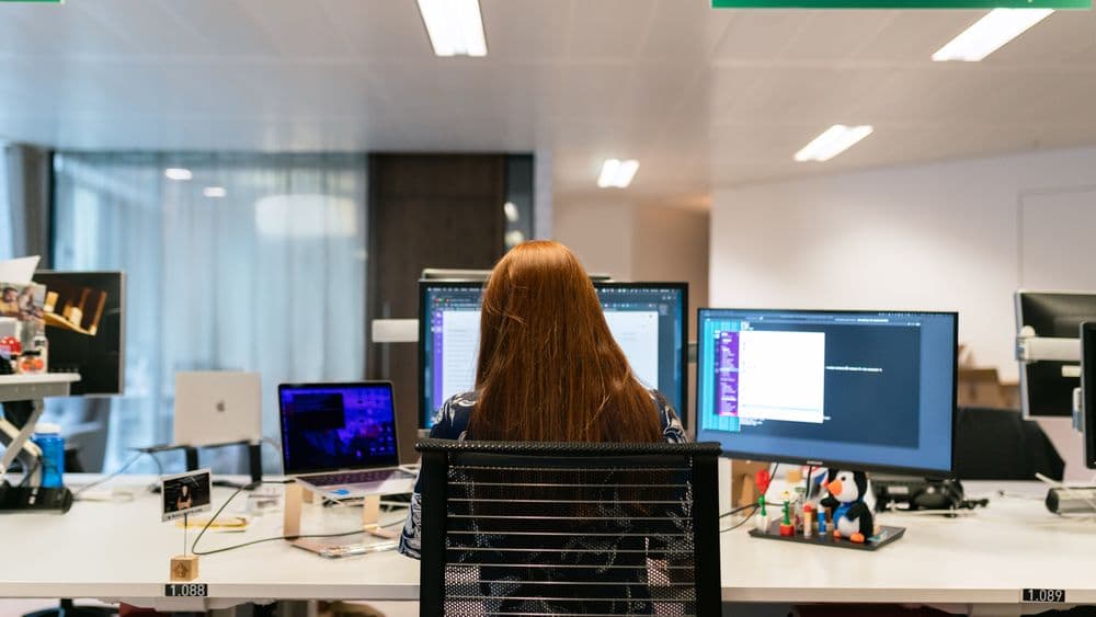 A processor reviewing a finished property search report built from data already in the system