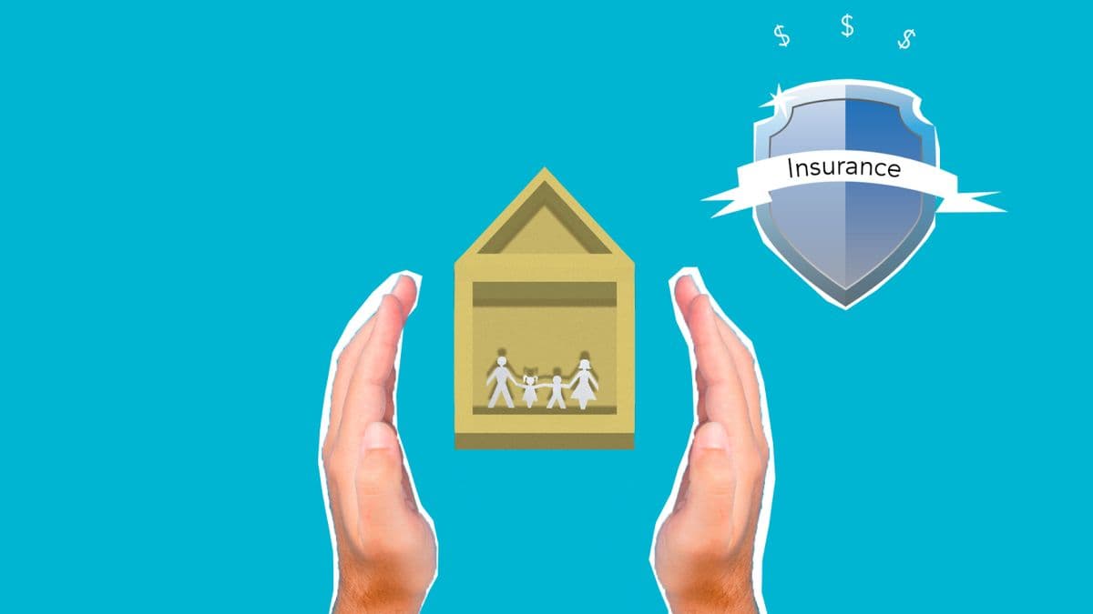 Conveyancer reviewing property documents and an insurance policy at a desk