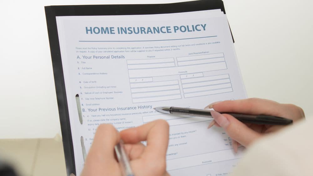 A search firm owner reviewing an insurance policy with a broker