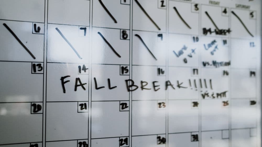 A calendar marked with an expected search return date