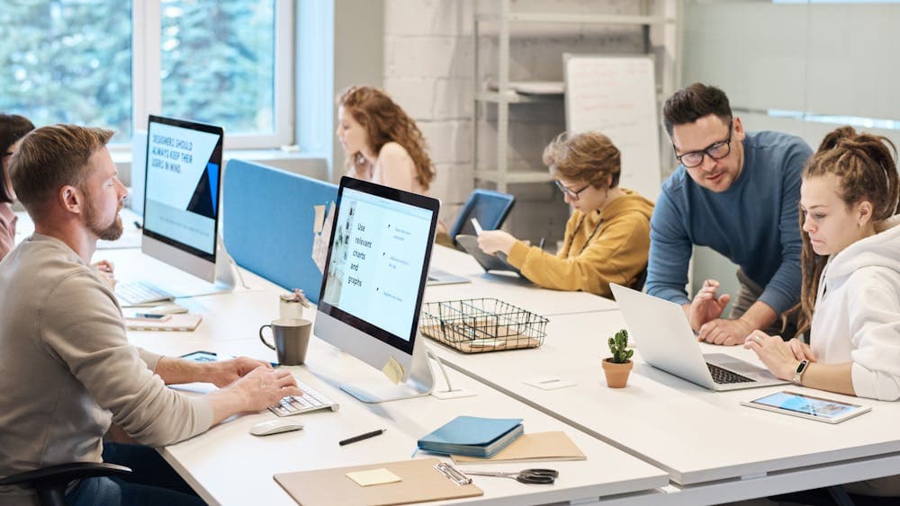 A team working at computers in a search company back office